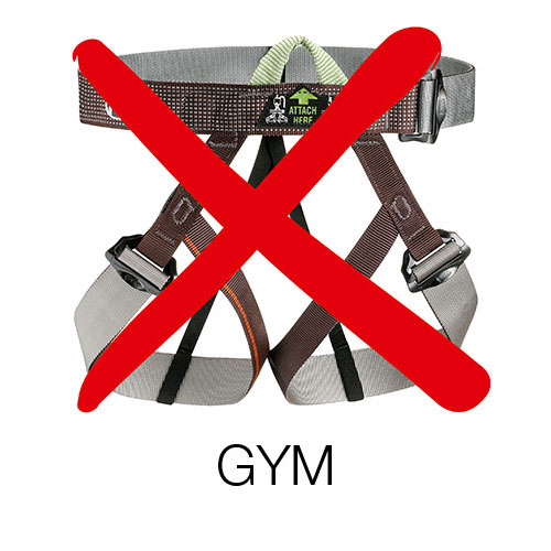 gym 1